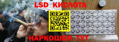 стаф Кунгур