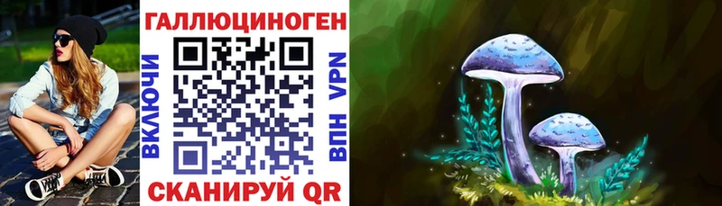 магазин продажи   Калуга  Псилоцибиновые грибы Psilocybine cubensis 