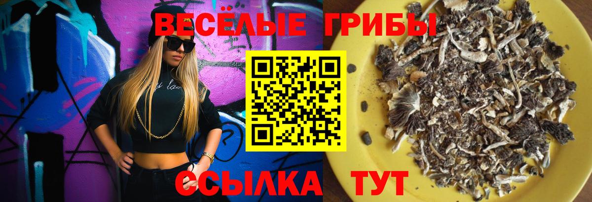 Калуга  Псилоцибиновые грибы Magic Shrooms  Вход с VPN 